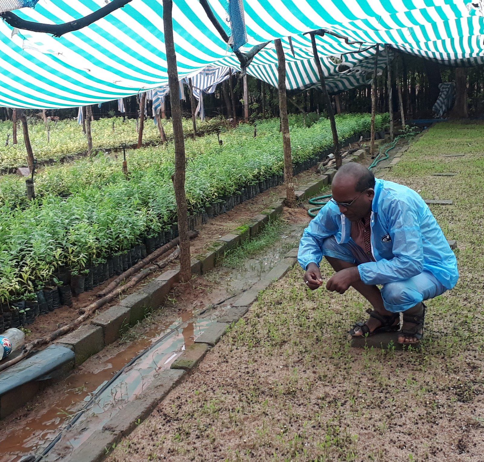 Soil Preparation