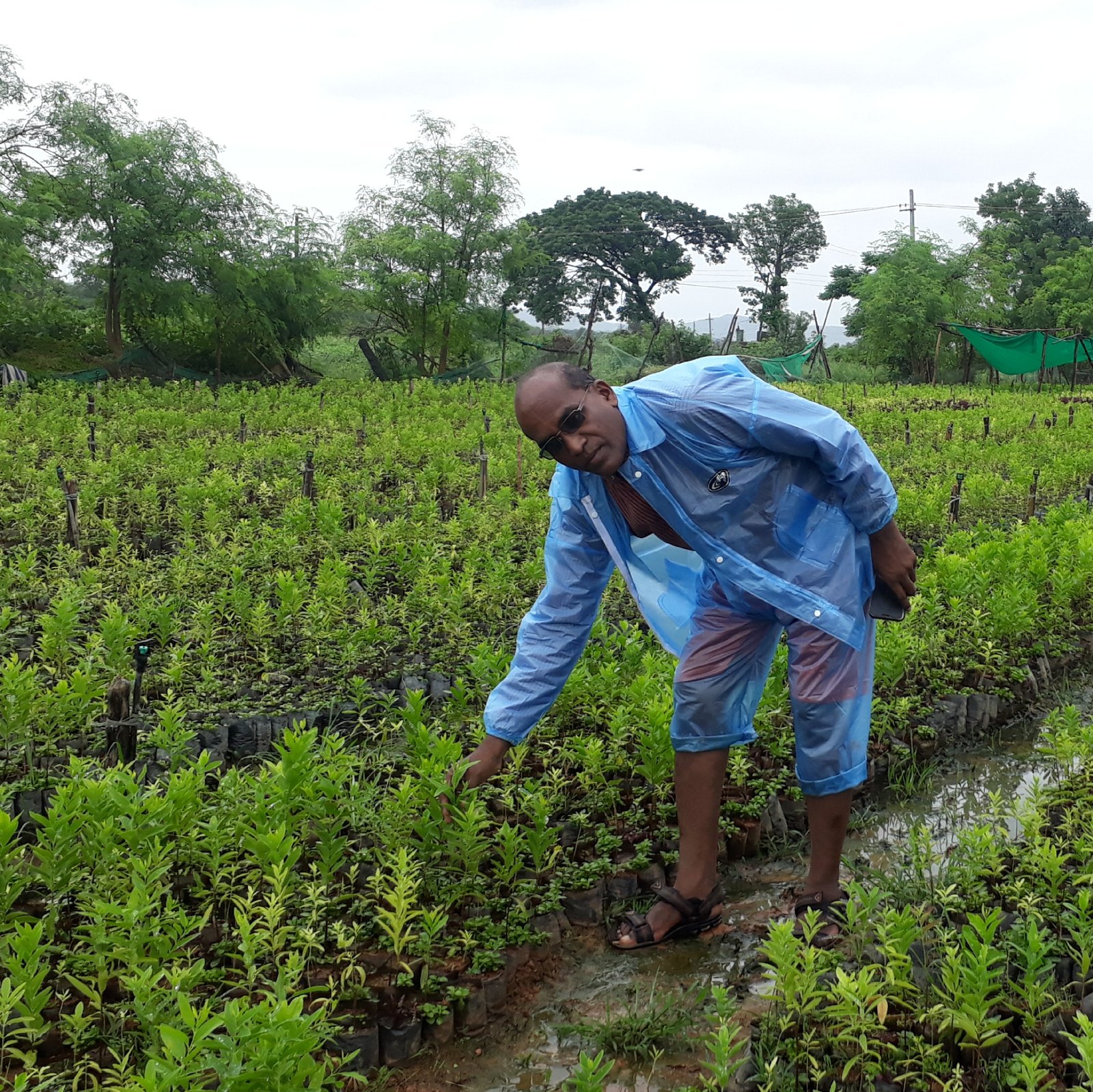 Plantation Drive