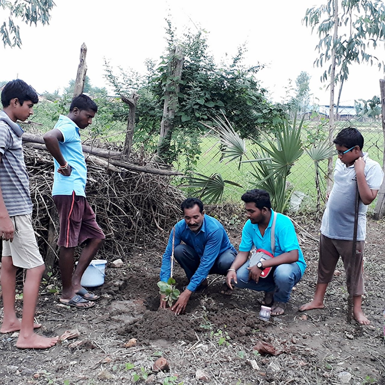 Working Image 12