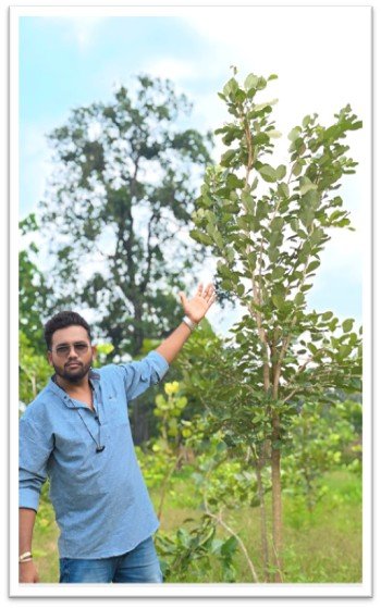 Peepal Tree