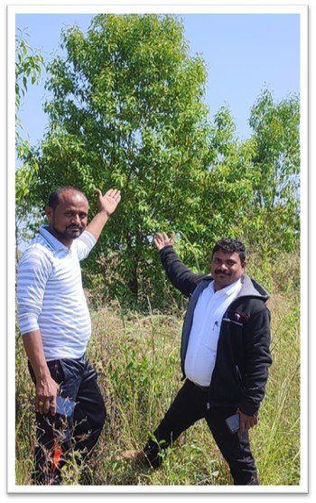 Working Image 10